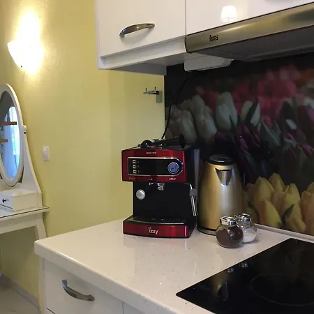 Dream Boutique Apartment