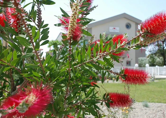 Apartamento Dream Boutique *